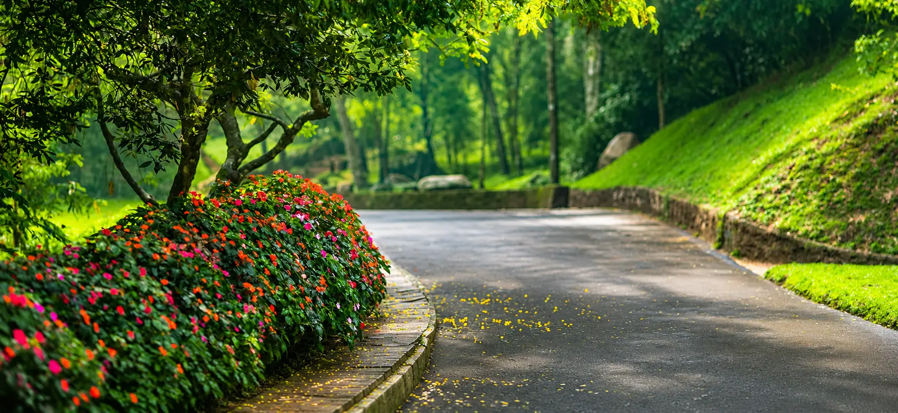 Hakgala Botanical Gardens, Nuwara Eliya