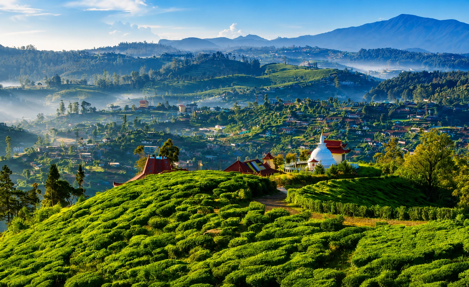 Single Tree Hill, Nuwara Eliya